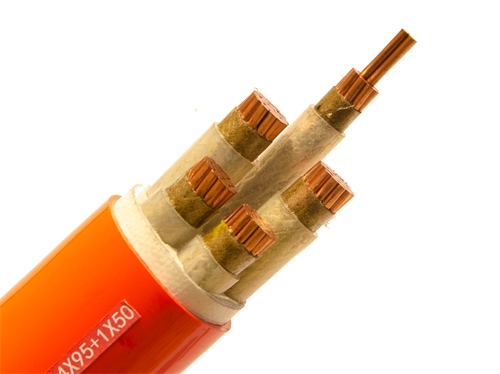 广西电线电缆厂：矿物质电缆是什么？